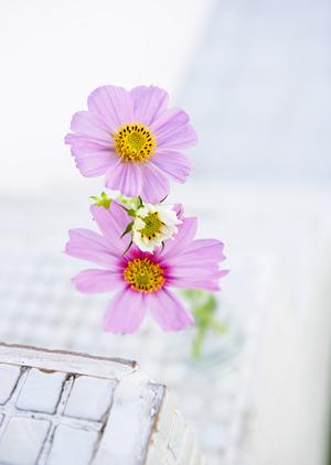 2025年最新!DIY教室成功の秘訣と集客アップの完全ガイド