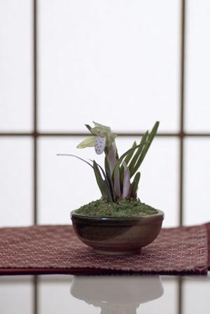 埼玉県さいたま市にあるタカラスタンダード さいたまショールームのご紹介｜リフォーム相談から最新設備の体験まで