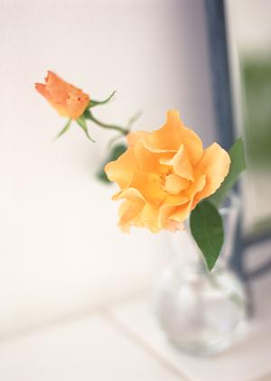 立川ショールーム|タカラスタンダードの最新設備と快適な空間をご紹介