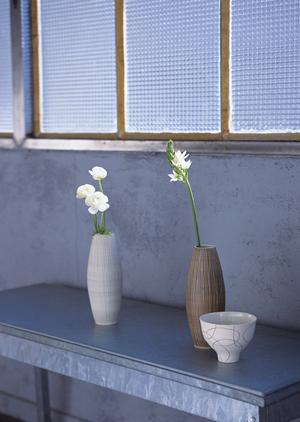 2026年最新版：初心者でも失敗しないプロジェクター設置の完全ガイド